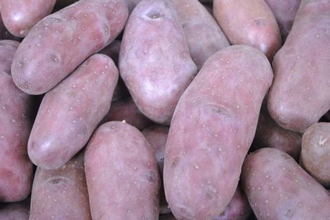 Kifliburgonya (1 kg)