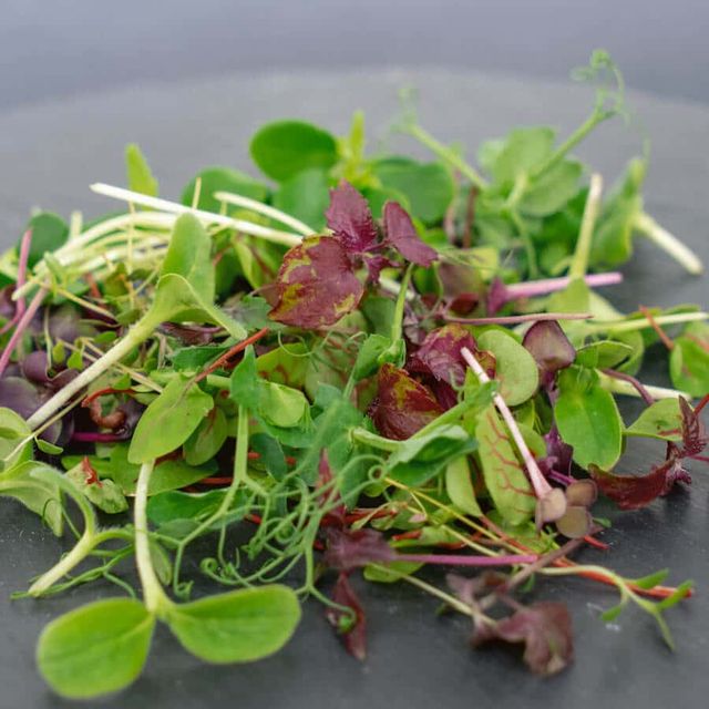 Mikrozöld mix (6 dkg)