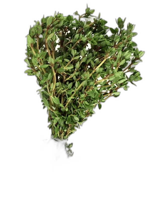 Borsikafű (5 dkg)