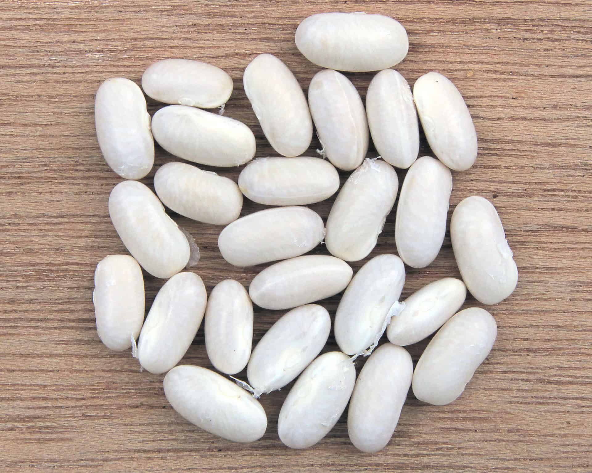 Fehérbab (10 dkg)