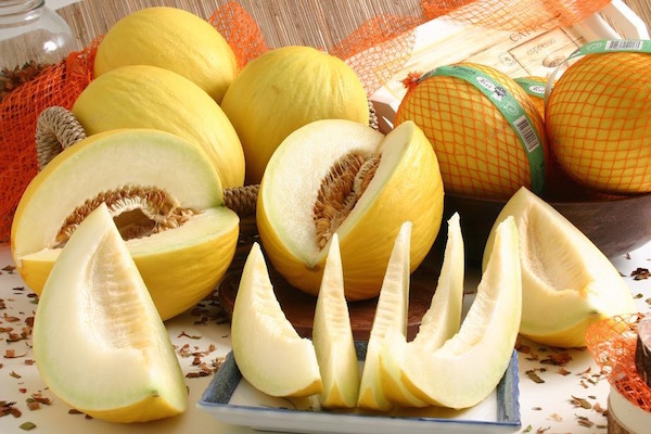Mézdinnye (~1-2 kg)