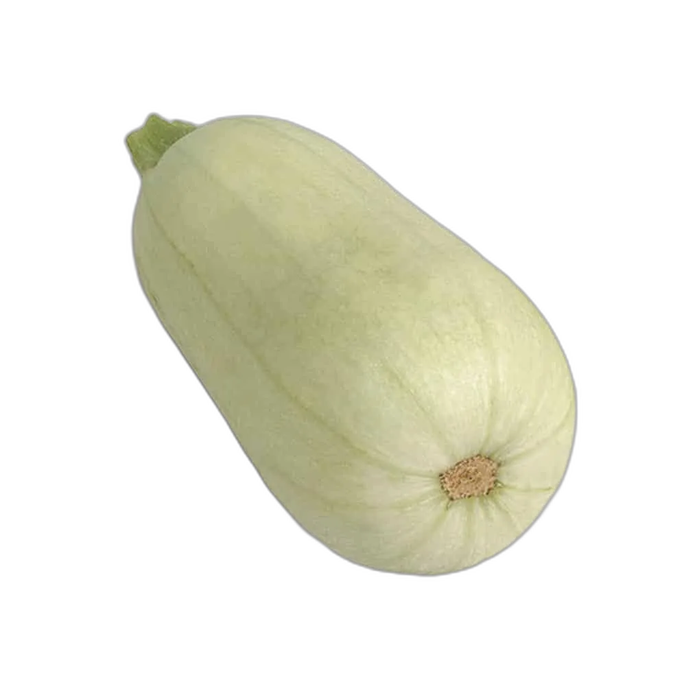 Főzőtök (1 db)