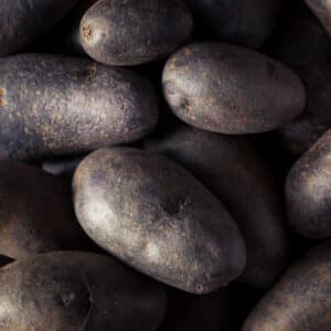 Lila burgonya (0,5 kg)