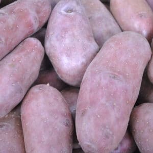 Kifliburgonya (1 kg)